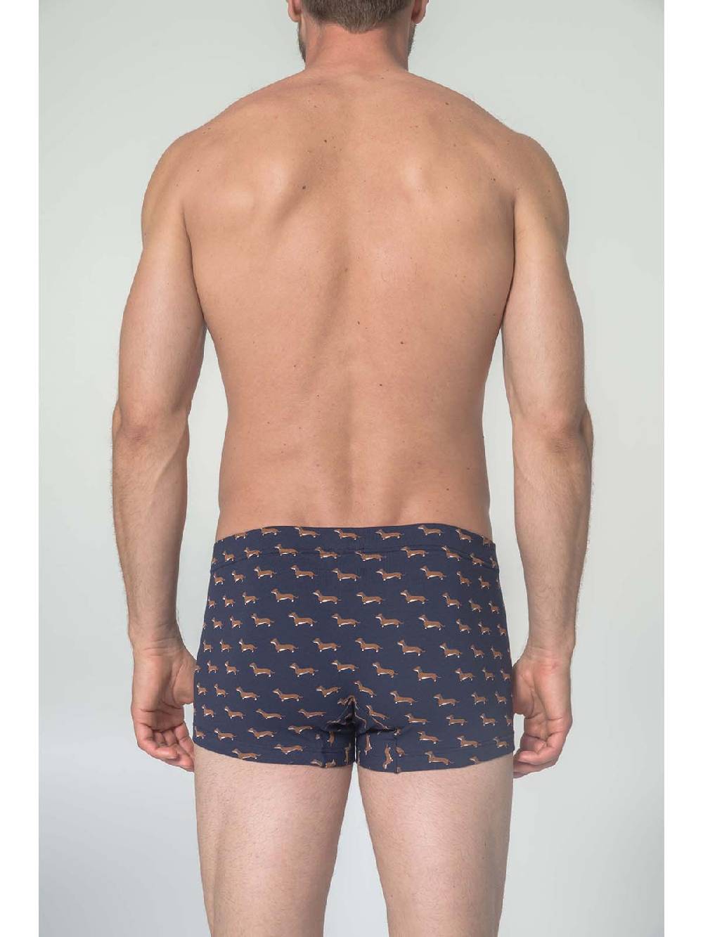 Julipet Boxer in cotone bielastico stampato Novità