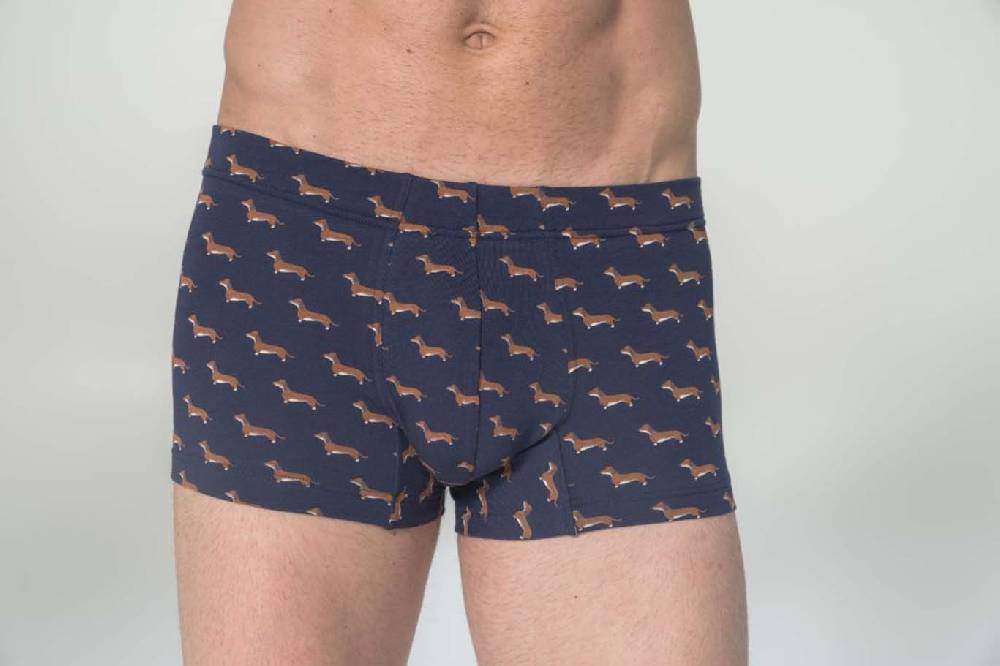 Julipet Boxer in cotone bielastico stampato Novità