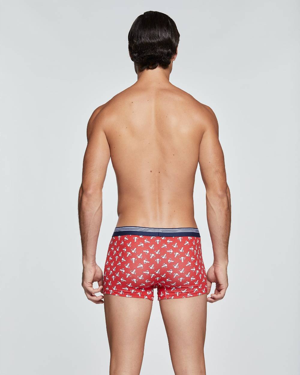 Pompea BOXER COTONE ARCHIMEDE CON FANTASIA ALIENO Online